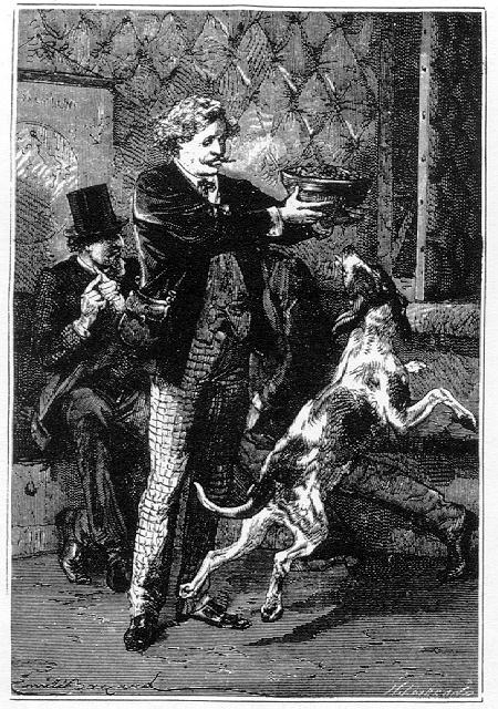 Dieron a la perra una respetable ración de comida que devoró con gran apetito.