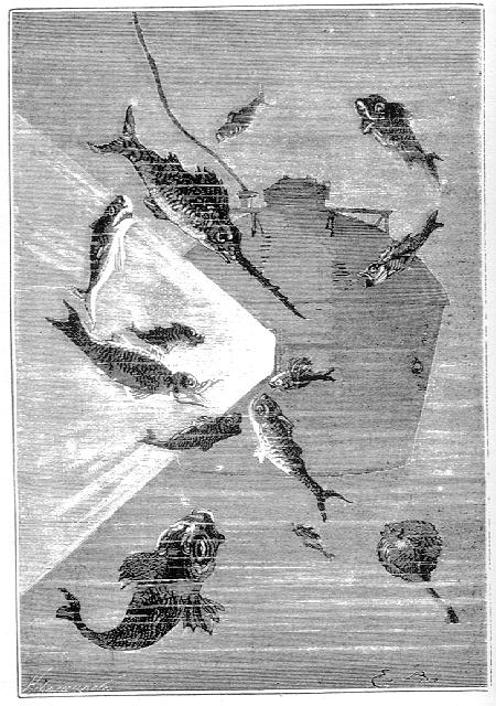 La cámara, arrastrada por los depósitos llenos de agua, desapareció en el fondo del océano.