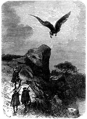 La enorme ave se acercaba.