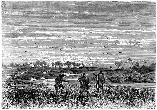 Toda aquella región andina era encantadora y de una fertilidad sorprendente.