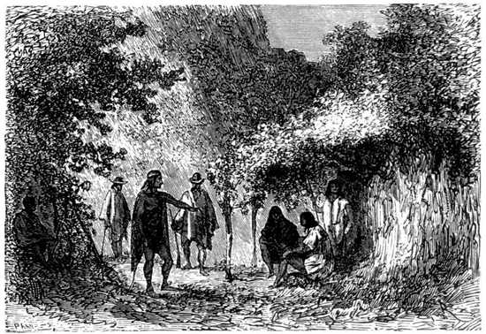 Teniendo bueyes y caballos, no quería otra cosa.