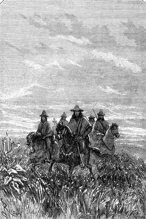 Los caballos marchaban a buen paso entre la paja brava.