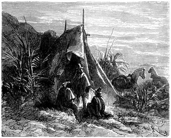 Se envolvieron en sus ponchos y se echaron sobre un edredón de alfalfa.