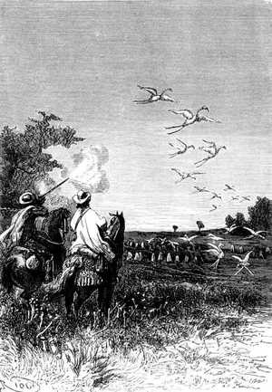 Cuando los tuvo a tiro, disparó su carabina cargada con pólvora.