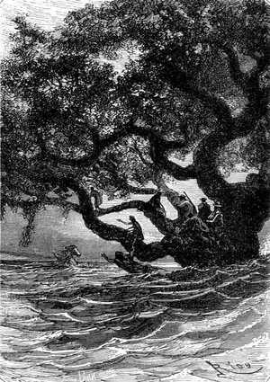 Volvía hacia su amo la inteligente cabeza y le llamaba con expresivos relinchos.