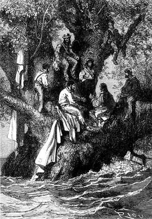 El ombú que servía de asilo a los expedicionarios tenía cien pies de altura