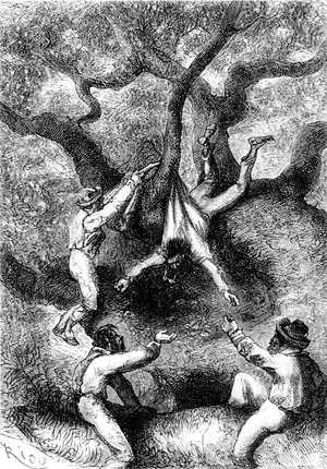 Iba ya a caer en las aguas mugidoras, cuando el Mayor le detuvo al pasar.