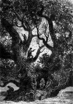 En aquel momento bajaron los cazadores de la cima del árbol.