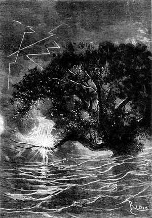 —¡Fuego en el árbol!