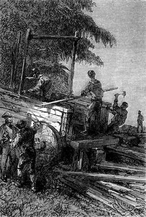 Estuvieron conformes en disponer para las viajeras una carreta tirada por bueyes