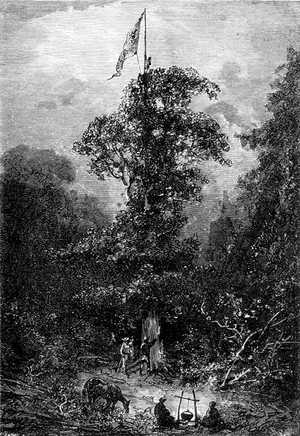 Dougal Stuart escogió un árbol elevado e hizo enarbolar en la copa el pabellón australiano