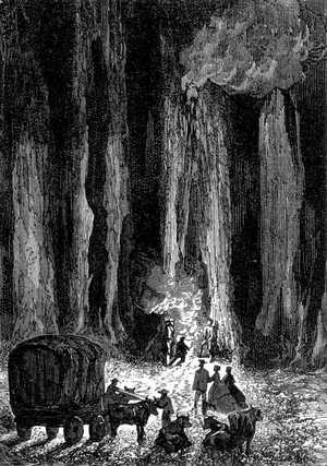 Olbinett, siguiendo el consejo de Paganel, encendió fuego para la cena en uno de aquellos troncos tubulares