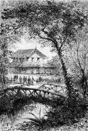 Se hallaron ante una casa encantadora de madera y ladrillo, medio oculta en un bosque de emerófilis