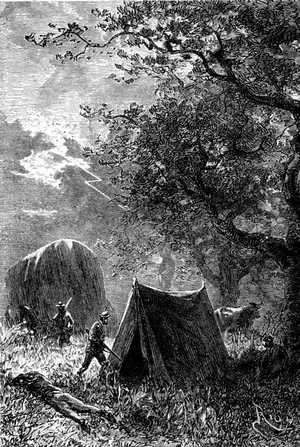 La cúpula sombría de los grandes árboles abrigó la tienda de los viajeros