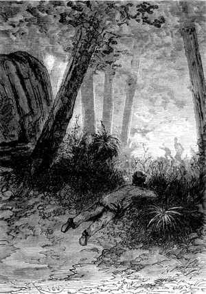 El Mayor se fue arrastrando por el suelo como un salvaje de las llanuras y desapareció bajo las altas hierbas