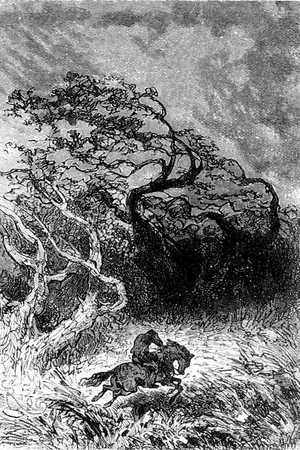 Desapareció por una senda que seguía a lo largo del bosque