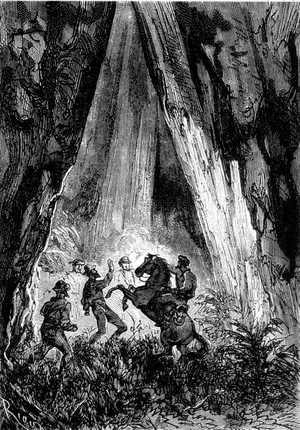 Atacaron de frente al caballo, el cual se encabritó